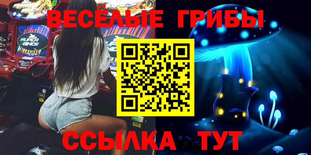 Псилоцибиновые грибы прущие грибы  Галлюциногенные грибы GOLDEN TEACHER  Муром  Вход с VPN 
